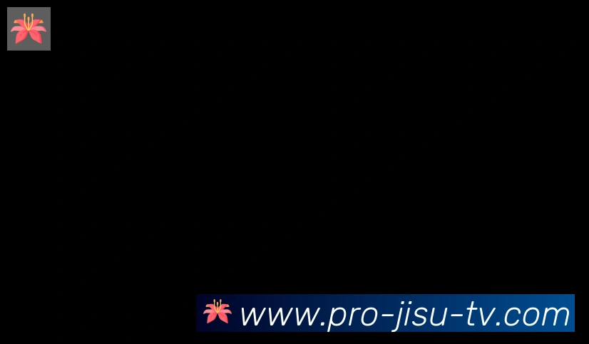 极速直播合作伙伴